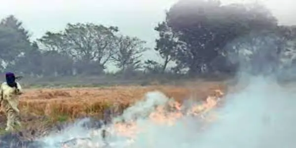 This time pollution has not increased due to stubble burning in Delhi, air is becoming poisonous due to vehicle smoke: Study