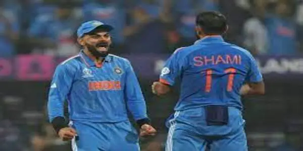 India in the final of ODI World Cup after 12 years, Mohammed Shami took 7 wickets, New Zealand lost by 70 runs