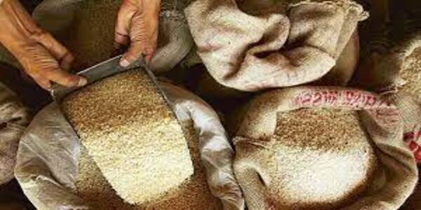 India to bar rice exporters from UN World Food Programme tenders