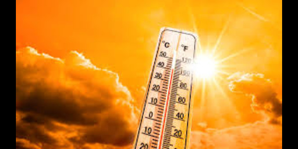 Heatwave updates:  Rajasthan's Phalodi hottest at 49.8 degrees