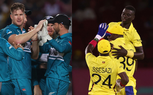 New Zealand vs Uganda Highlights, T20 World Cup 2024: NZ thump UGA for massive win in 41-run chase