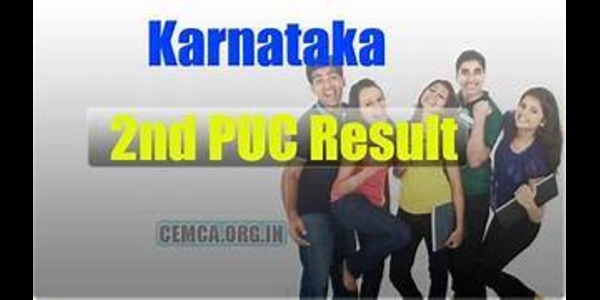 Karnataka 2nd PUC Exam 3 Result 2024 out at karresults.nic.in, 23.73% students pass