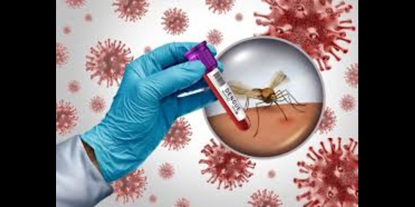 Dengue vaccine a step closer? India’s first phase 3 trial hits 50% enrolment mark, early data shows no safety concerns