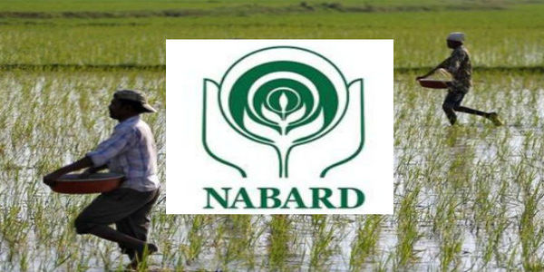 NABARD disburses Rs 20,500 crore to cooperative banks, rural banks for on-lending to farmers