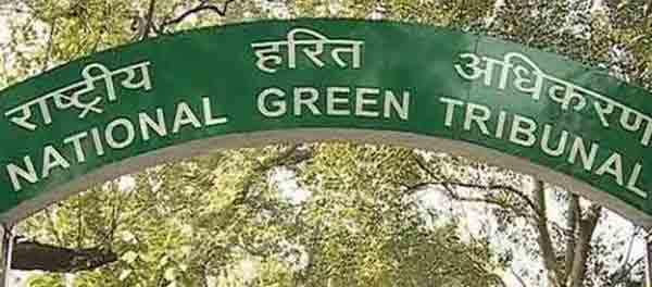NGT summoned officals over delay in demarcating forest land