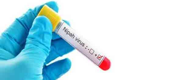 Terror of 'Nipah' virus in Kerala