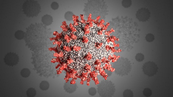 In a day 96,551 coronavirus cases in India