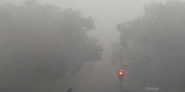 Dense Fog in Delhi NCR