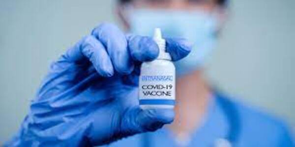 Price of Bharat Biotech's nasal Covid vaccine revealed. Details here